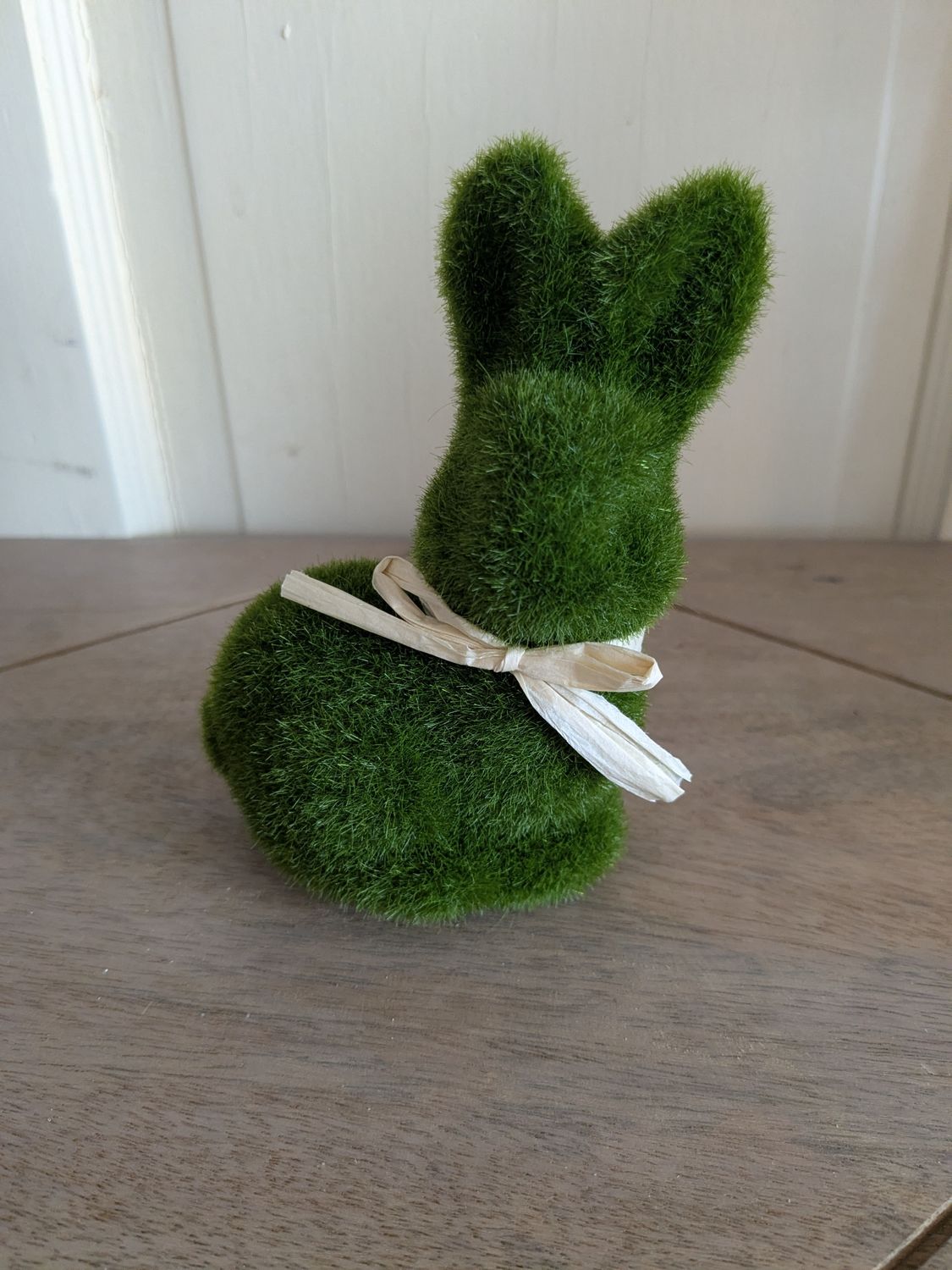 Mossy Bunny