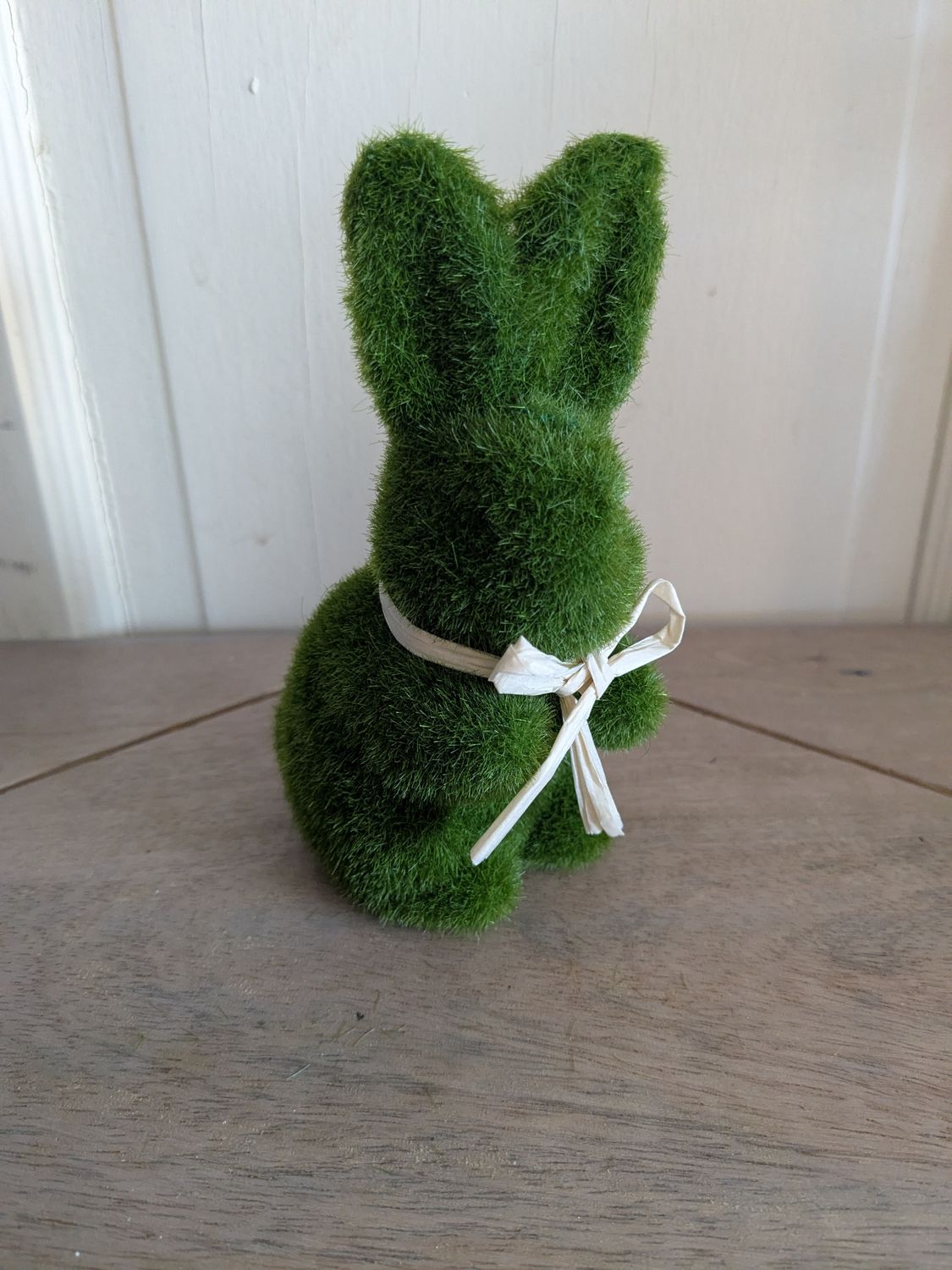 Mossy Bunny