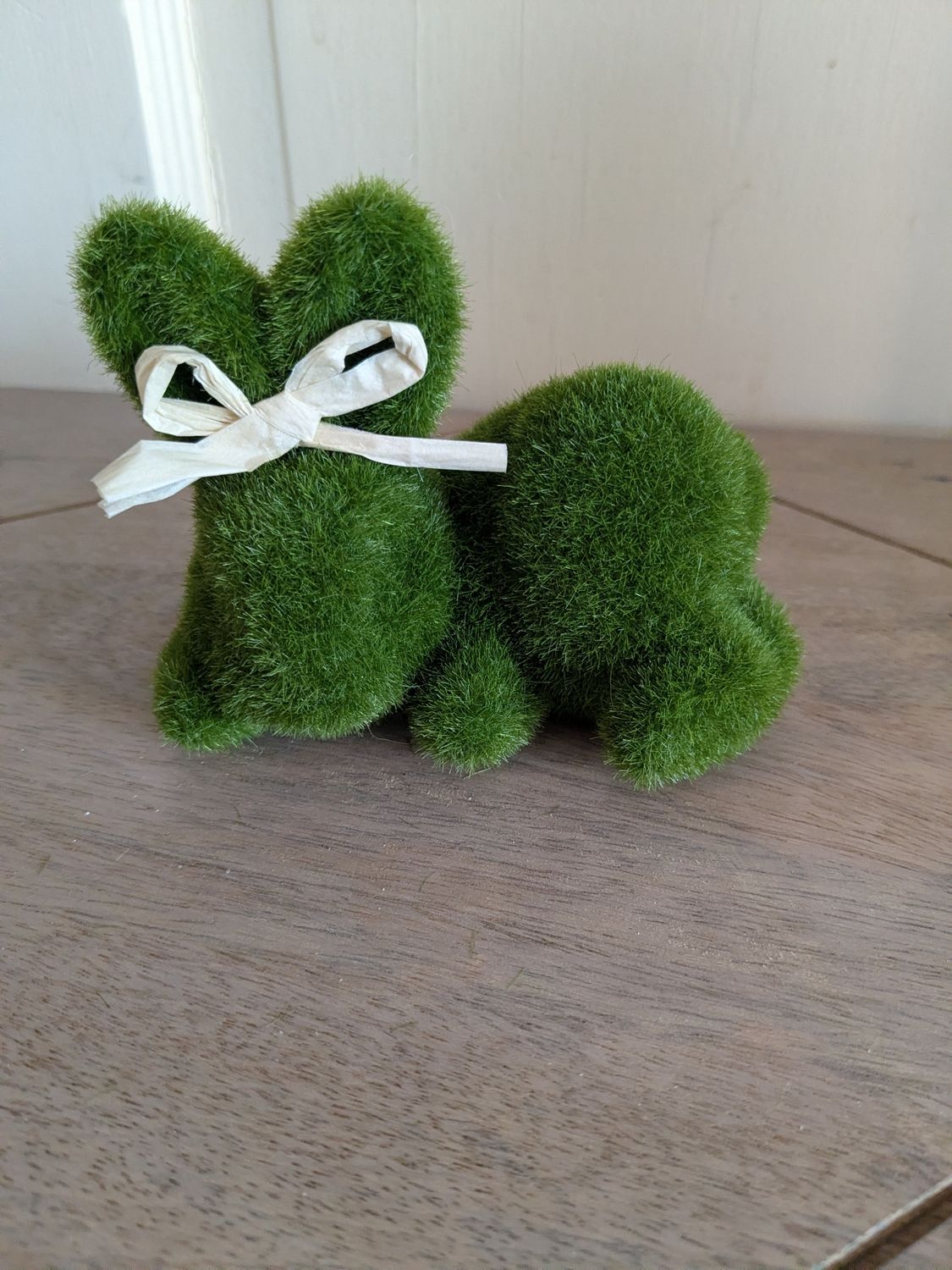 Mossy Bunny