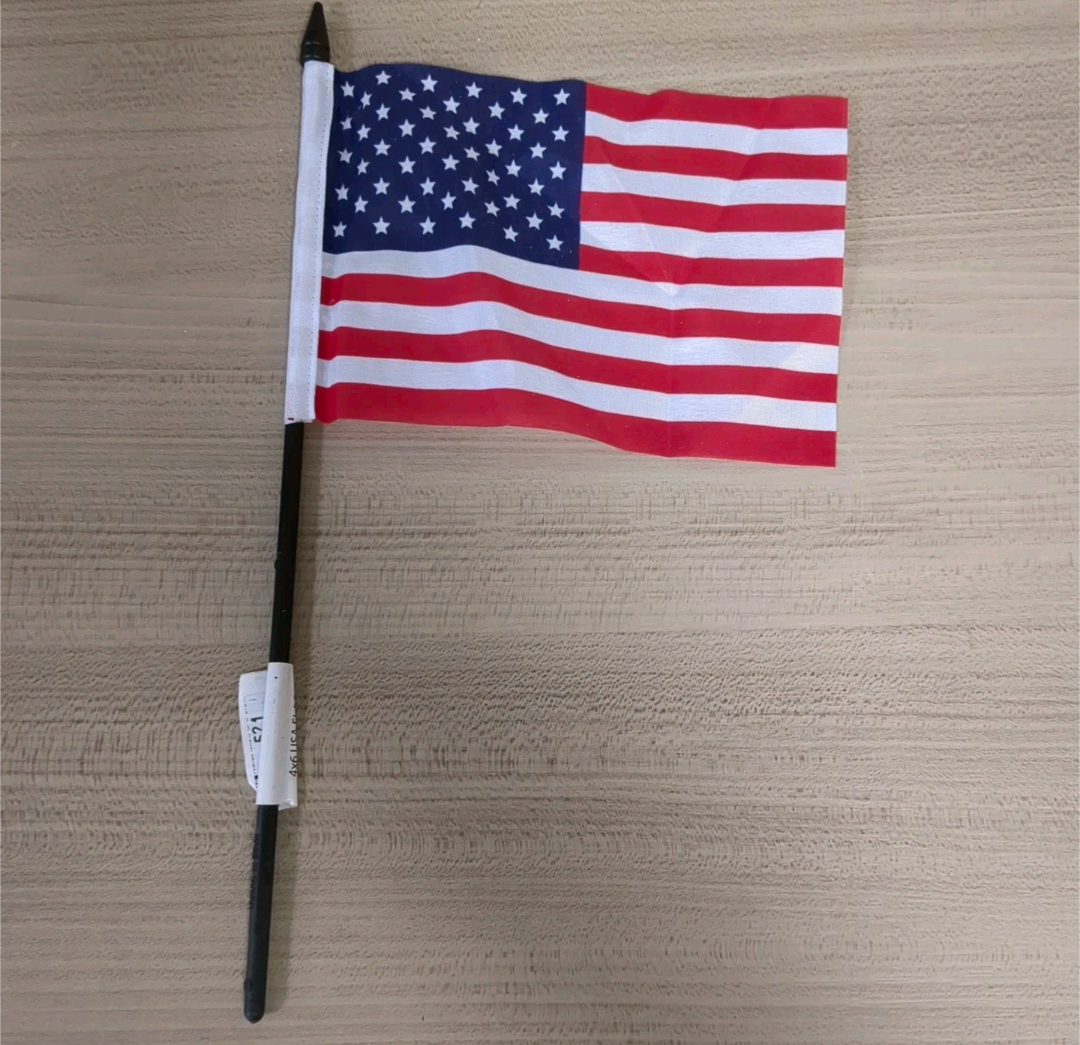 Mini American Flag Patriotic Decor Indoor Outdoor