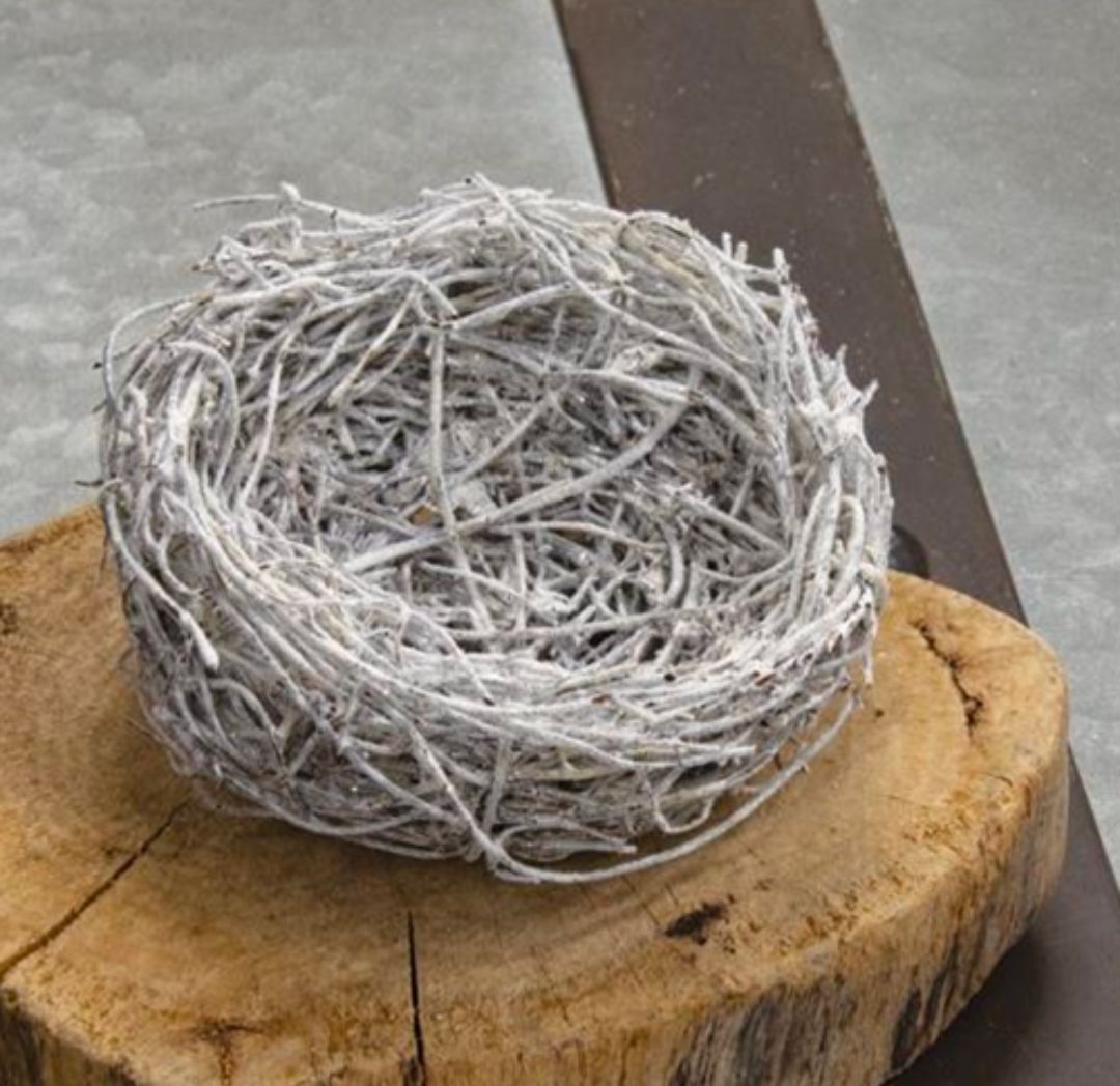 4" Frosty Nest