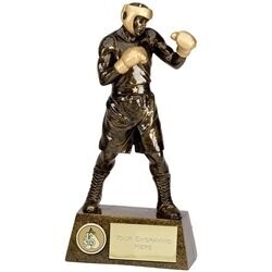26.5 cm 10.5 inch Pinnacle Boxing Trophy