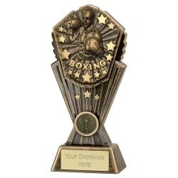 Cosmos Trophy 8 inch