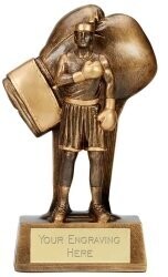 Soul Boxing Trophy 16cm