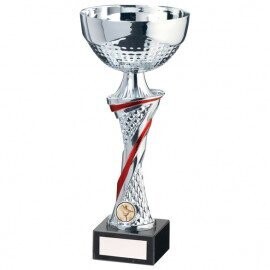 Dominion Cup Silver & Red 310mm