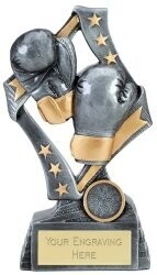 Star Boxing Trophy 19 cm