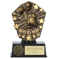 Shooting Star Mini Trophy 4 7/8 Inch   (12.5cm)