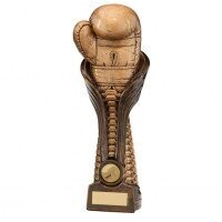 Gold Boxing Glove Trophy 250mm