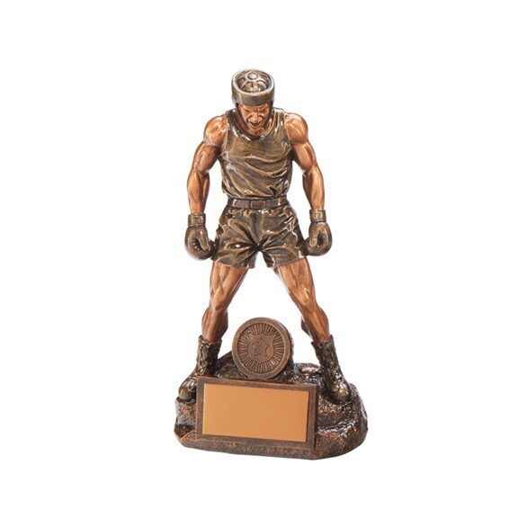 Ultimate Boxer Trophy 10 inch 265 mm