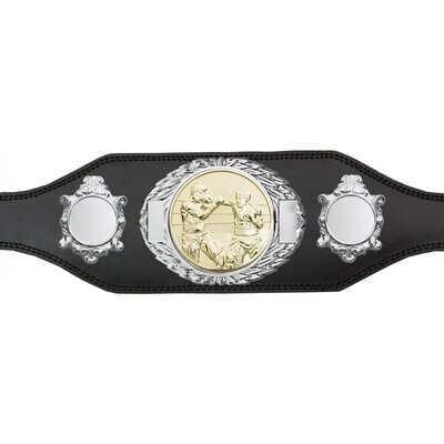 Budget Championship Belt Gold Silver