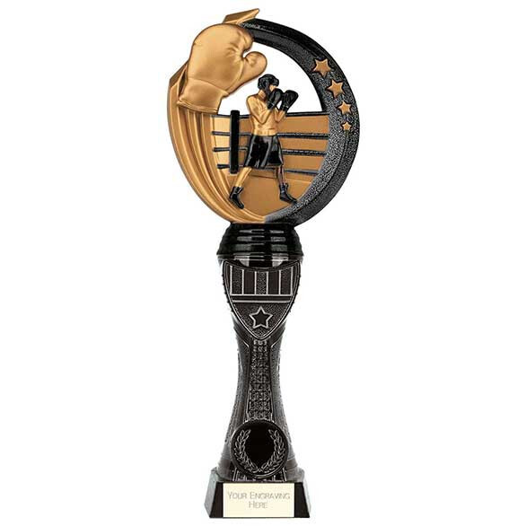 Renegade Heavyweight Trophy  310mm
