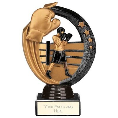 Renegade Legend Boxing  Trophy 145 mm