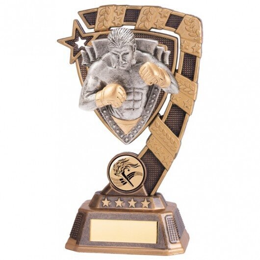 Euphoria MMA Trophy 150 mm 15 cm