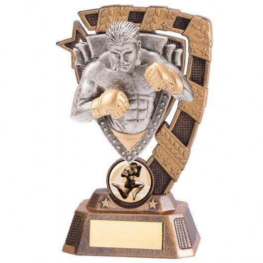 Euphoria MMA Trophy 180 mm