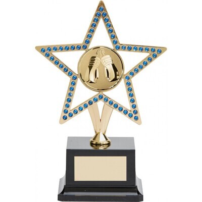 Gold Metal Gem Star Award Blue