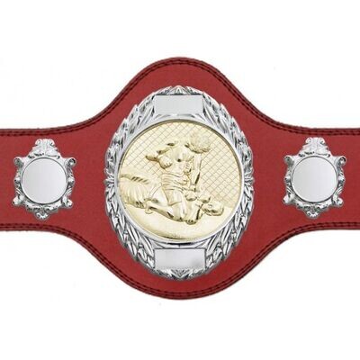 MMA Championship Belt Red FULLY ENGRAVED (Printed side Logos FREE)