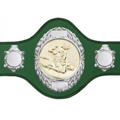 MMA Championship Belt Green FULLY ENGRAVED (Printed side Logos FREE)
