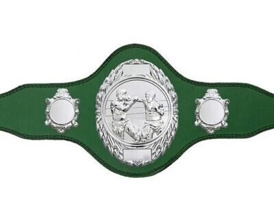 Boxing Championship Belt Green with Silver Plate FULLY ENGRAVED (Printed side Logos FREE)