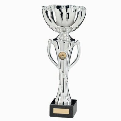 Hawkeye Cup  290mm