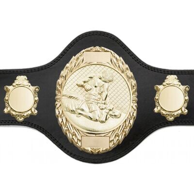 MMA Championship Black Belt with Gold Plate FULLY ENGRAVED (Printed side Logos FREE)