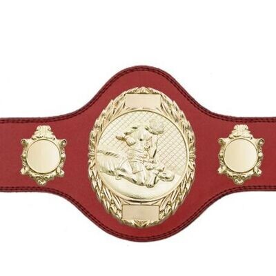 MMA Championship Belt Red FULLY ENGRAVED (Printed side Logos FREE)