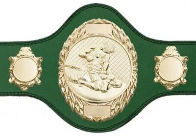 MMA Championship Belt Green FULLY ENGRAVED (Printed side Logos FREE)