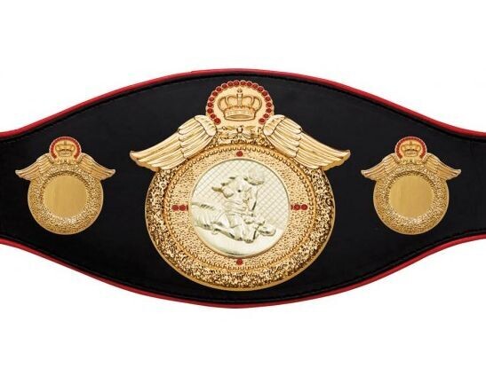 MMA Championship Black with Burgundy Edge