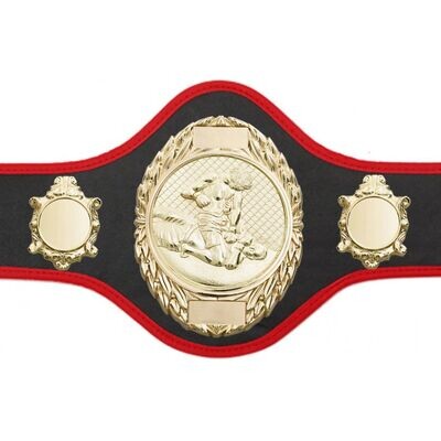 MMA Championship Belt Black with Red Trim FULLY ENGRAVED (Printed side Logos FREE)