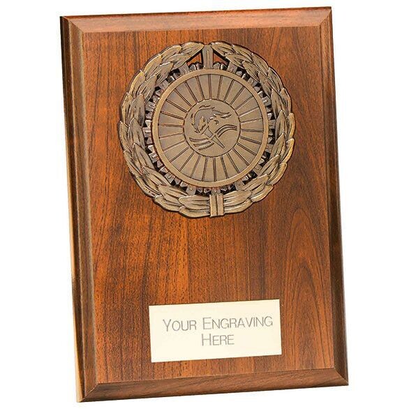 Donegal Shield 175 mm