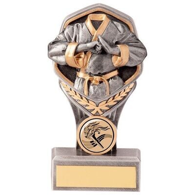Falcon Martial Arts GI Award 150 mm