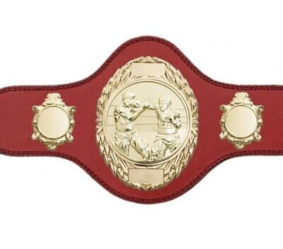Boxing Championship Belt Red with Gold Plate FULLY ENGRAVED (Printed side Logo's FREE)