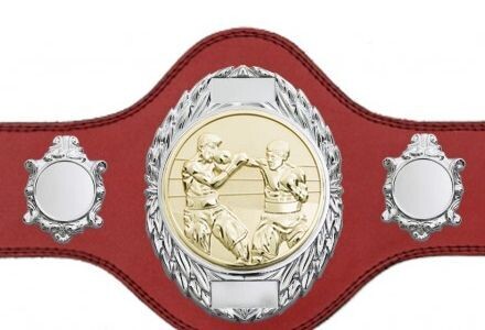 Boxing Championship Belt Red  Silver/Gold Plate FULLY ENGRAVED (Printed Side Logos's FREE)