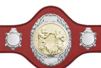 Boxing Championship Belt Red Silver/Gold Plate FULLY ENGRAVED (Printed Side Logos's FREE)