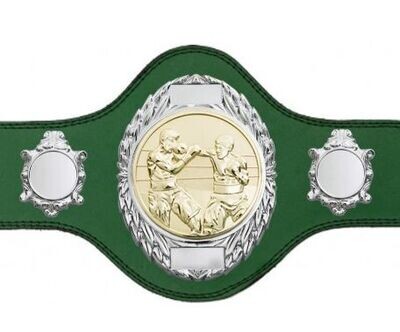 Boxing Championship Belt Green Silver/Gold Plate FULLY ENGRAVED (Printed Side Logo's FREE)