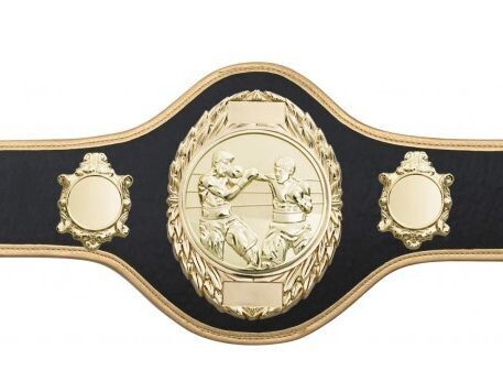 Professional Championship Belt Black Gold Trim & Plate  FULLY ENGRAVED (Printed Side Logo's FREE)