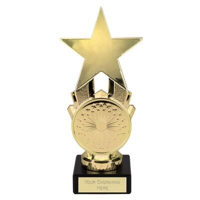 Award Star Gold 17 cm