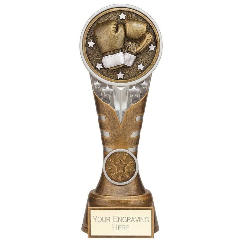 Ikon Tower Award 200mm