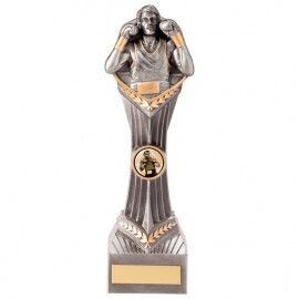 Falcon Boxing Man Trophy 240 mm