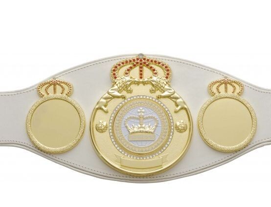 Championship ProLion Belt White with White Trim