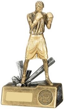 Boxer Male Award 8.5  inch