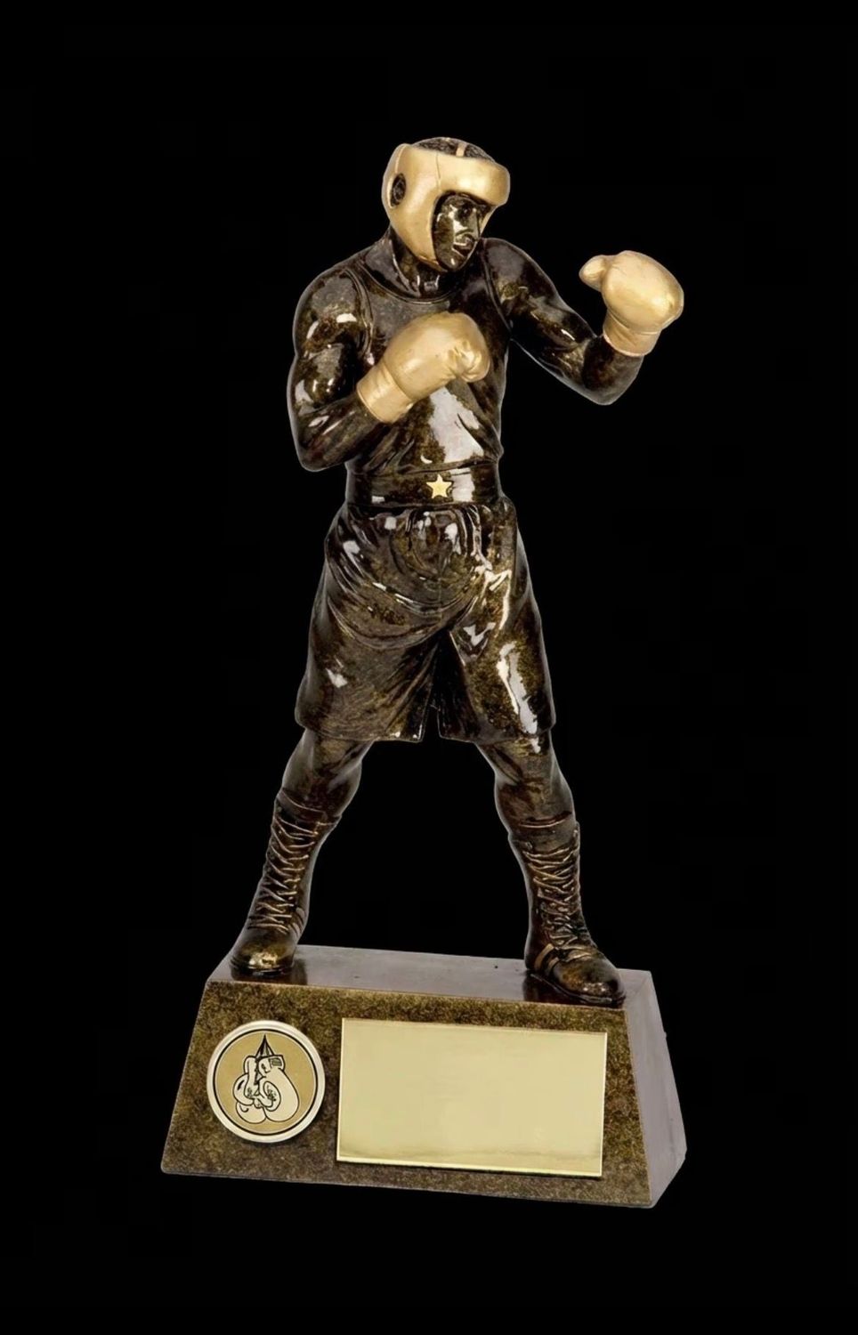 18.5 cm Pinnacle Boxing Trophy