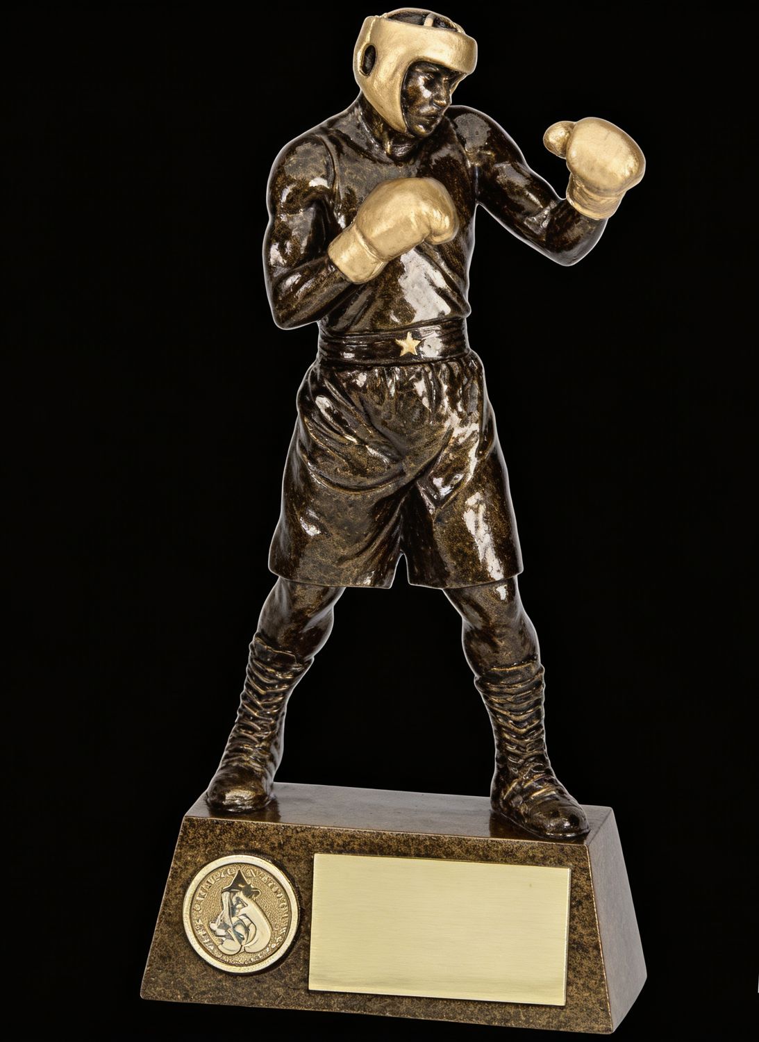 24 cm 9.5 inch Pinnacle Boxing Trophy