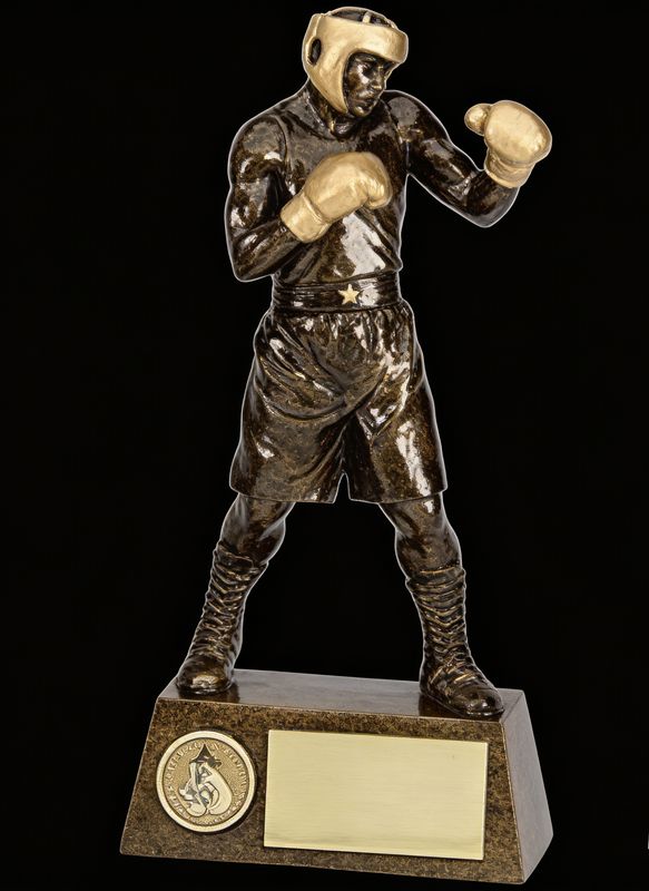 24 cm 9.5 inch Pinnacle Boxing Trophy