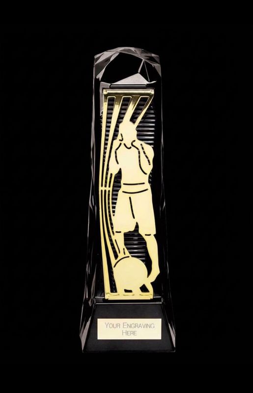 Shard Boxing Trophy 9.5 Inch