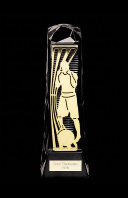 Shard Boxing Trophy 9.5 Inch