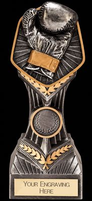 Falcon Boxing Glove Trophy 180 mm