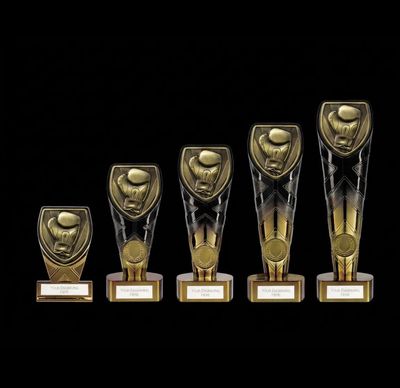 Fusion Cobra Boxing Award 200 mm