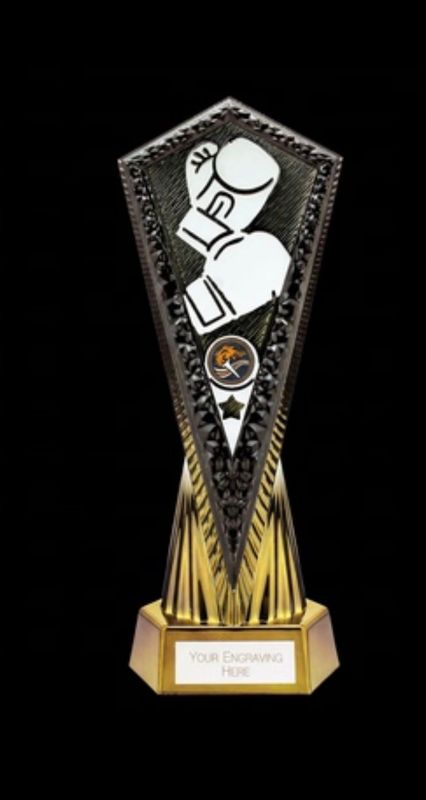 Inferno Boxing Award  270 mm