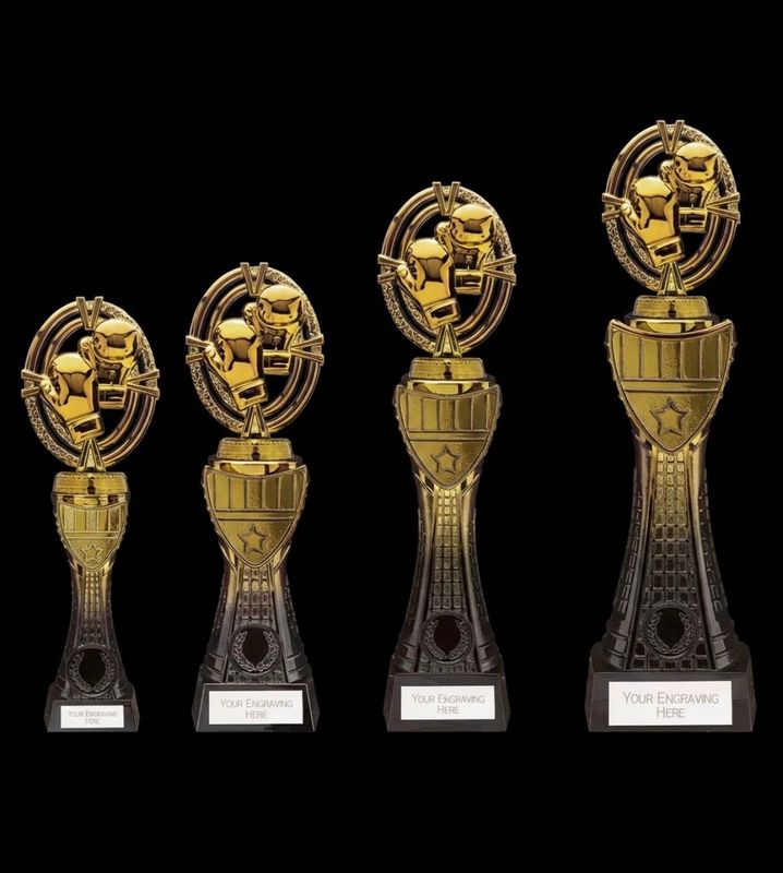 Maverick Heavyweight Boxing Award 9.8 Inch