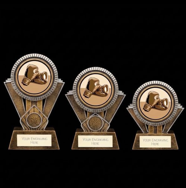 Apex Boxing Award Gold & Silver 130mm
